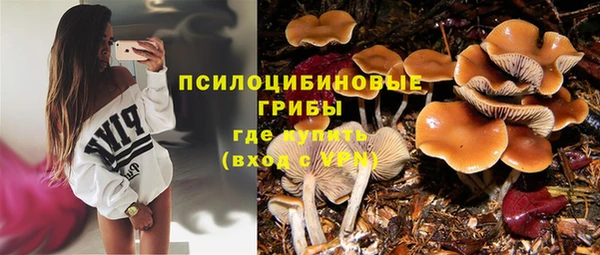apvp Алексин