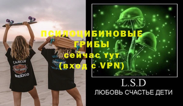 амф Абинск